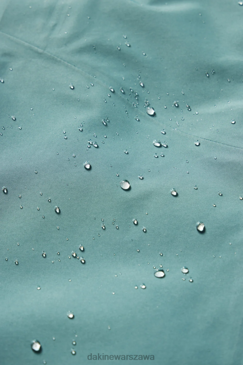 Dakine dla obu płci Kurtka Stoker Gore-Tex 3L B0XJ2273 wyrzeźbić na niebiesko odzież