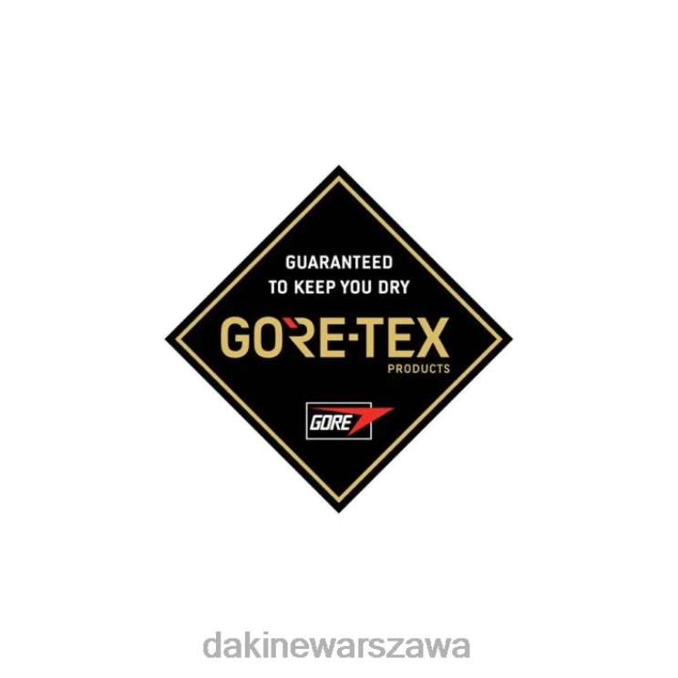 Dakine kobiety Rękawica Tundra Gore-Tex B0XJ2847 czarny akcesorium