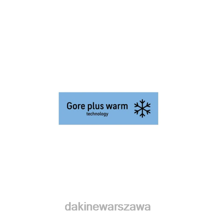 Dakine kobiety Rękawica Tundra Gore-Tex B0XJ2847 czarny akcesorium